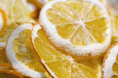 food_industry_1_drylimon_istock_612839708_1920x720px