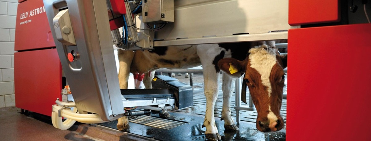 2014_lely